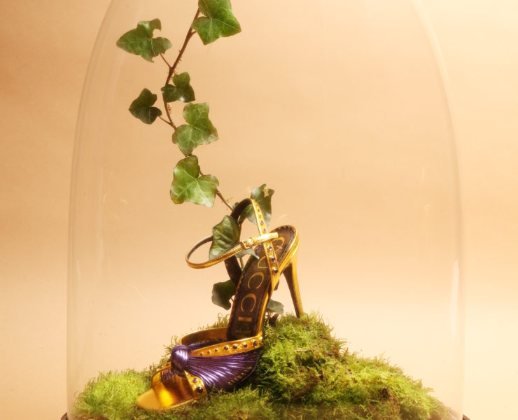 shooting-chaussures-shoes-gucci-fashion-mode-luxe-fleurs-natures-naturemorte-cloche