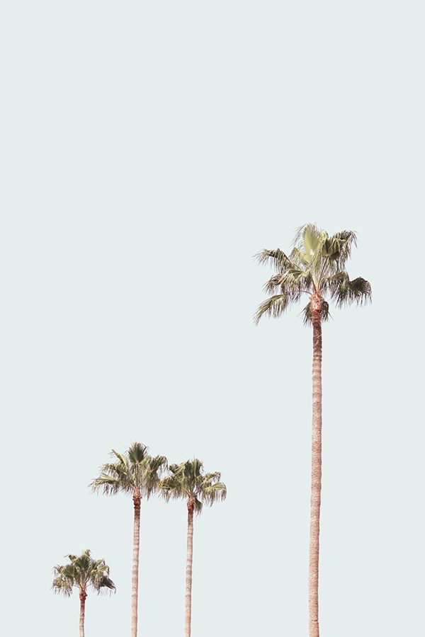 palmier-solaire-crème-bébé-enfants